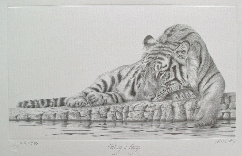 PETER HILDICK TAKING IT EASY TIGER Hand Signed Limited Edition Etching