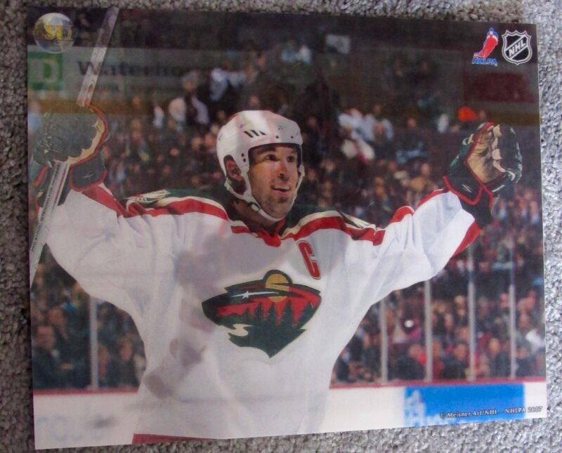 BRIAN ROLSTON MINNESOTA WILD 3-D HOLOGRAM PHOTO MEISNER ART NHL HOCKEY