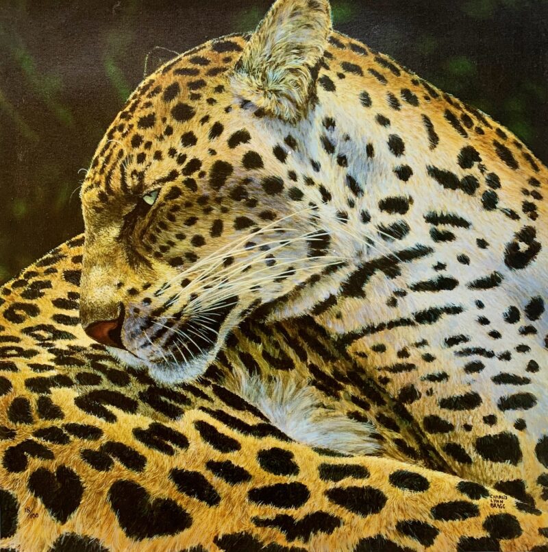 Charles Lynn Bragg LEOPARD Hand Signed Limited Edition Giclee