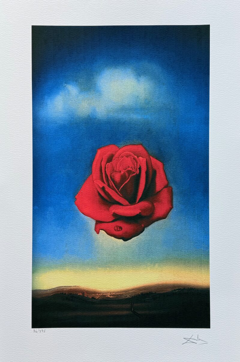 Salvador Dali MEDITATIVE ROSE Facsimile Signed & Numbered Giclee Art 26" x 16"