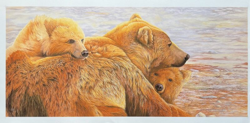 Graeme Stevenson BEAR FAMILY Hand Signed Limited Edition Giclee