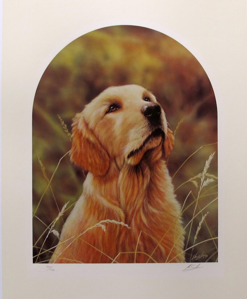 John Silver GOLDEN RETRIEVER Hand Signed Limited Edition Lithograph