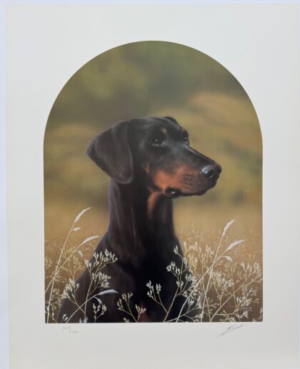 JOHN SILVER DOBERMAN Hand Signed Limited Edition Lithograph
