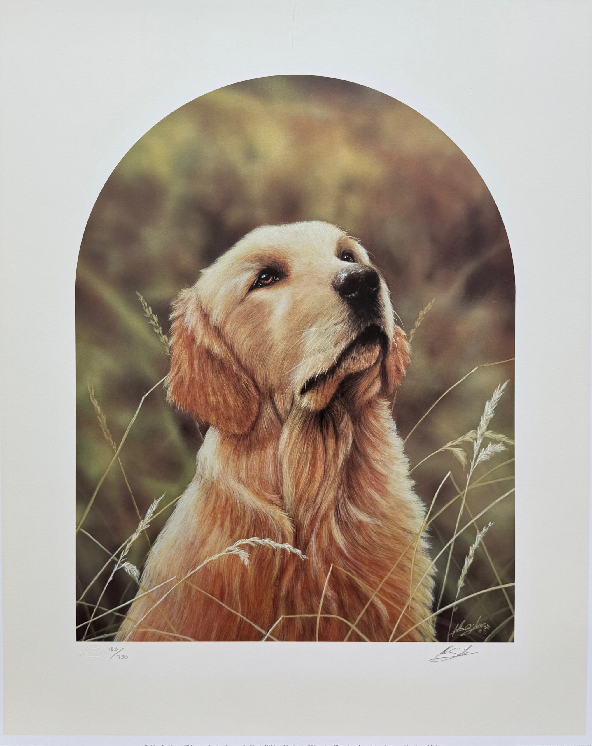 John Silver GOLDEN RETRIEVER DOG Hand Signed Art Giclee with Plaque