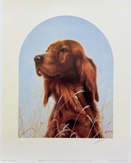John Silver IRISH SETTER DOG Hand Signed Ltd Edition Giclee