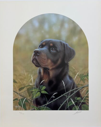 JOHN SILVER DOBERMAN Hand Signed Limited Edition Lithograph