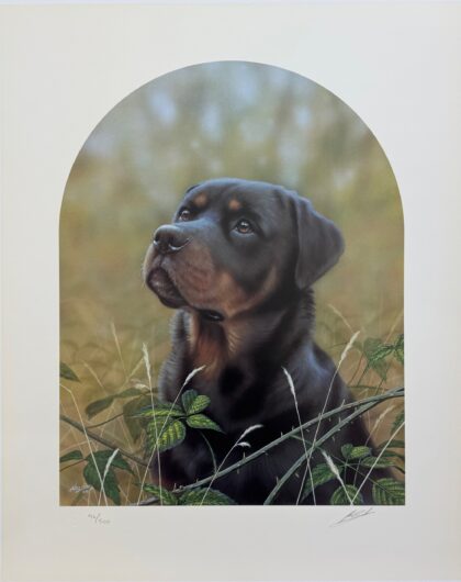 JOHN SILVER DOBERMAN Hand Signed Limited Edition Lithograph