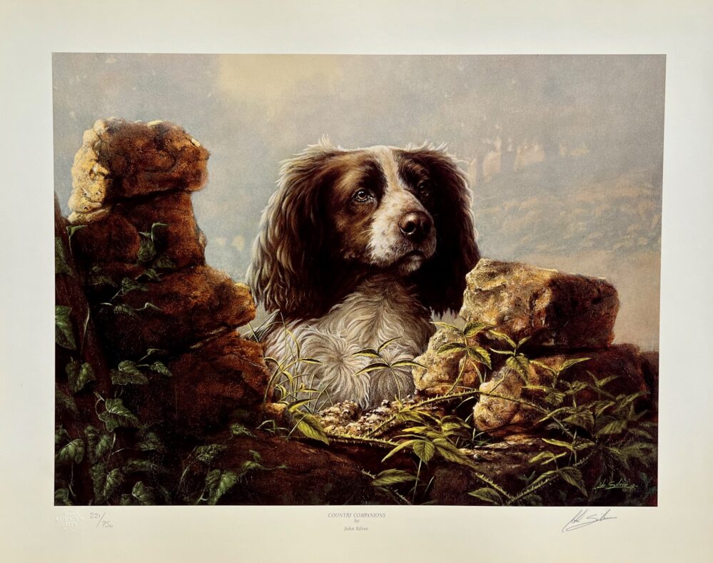 John Silver ENGLISH SPRINGER SPANIEL Hand Signed Limited Edition Lithograph