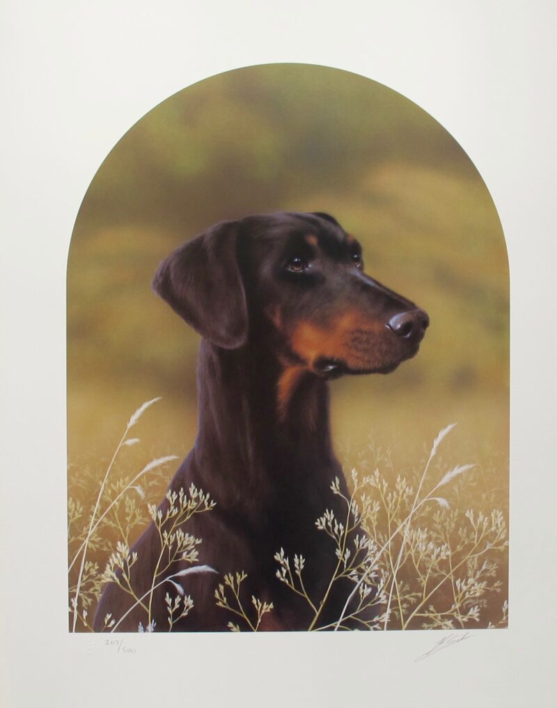 JOHN SILVER DOBERMAN DOG Hand Signed Limited Edition Art Lithograph