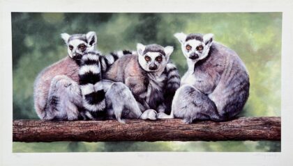 Mandie Haywood TREE-O LEMUR Hand Signed Limited Edition Giclee