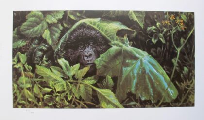 MICHAEL JACKSON LOOKS LIKE RAIN Plate Signed Ltd Edition Art Lithograph GORILLA