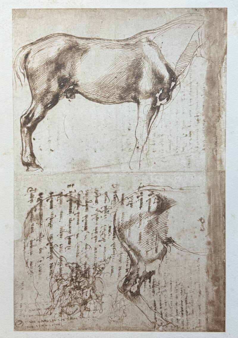 Michelangelo STUDIES OF HORSES 1970 Lithograph 17" x 12"