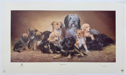 NIGEL HEMMING FRIENDS FOR LIFE Hand Signed Ltd Edition Lithograph