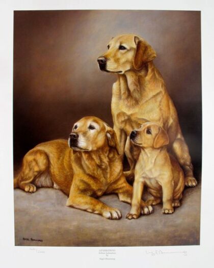 Nigel Hemming GENERATIONS YELLOW LABRADORS Lithograph