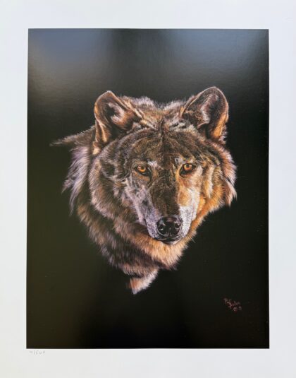 PAT BAKER Plate Signed Limited Edition Lithograph GREY WOLF