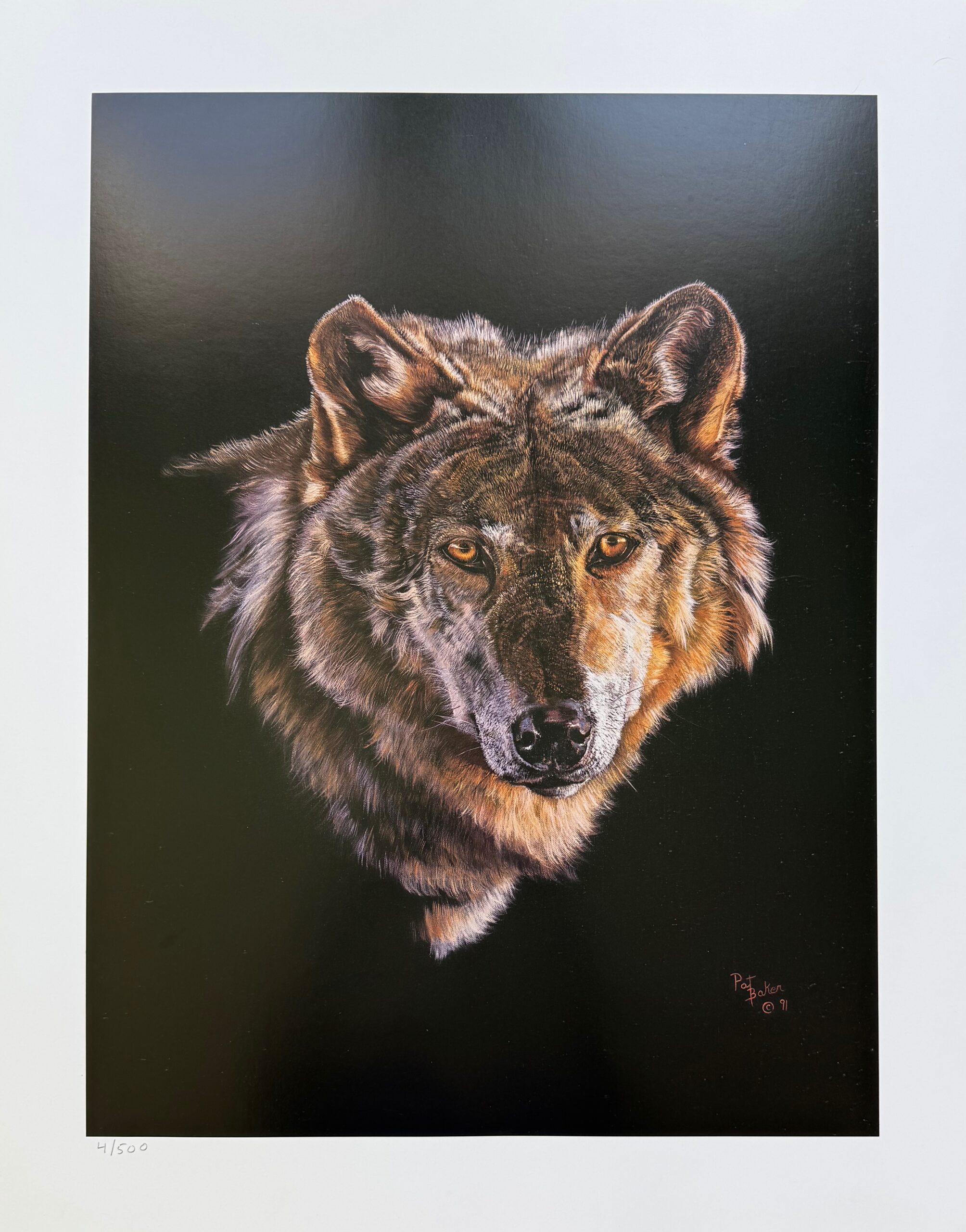 PAT BAKER Plate Signed Limited Edition Lithograph GREY WOLF