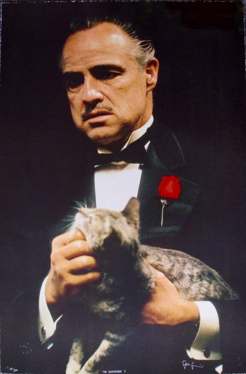 STEVE SCHAPIRO THE GODFATHER CAT Hand Signed Ltd Ed Lithograph MARLON BRANDO