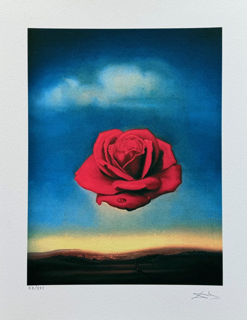 Salvador Dali MEDITATIVE ROSE Facsimile Signed & Numbered Giclee Art 16 x 12