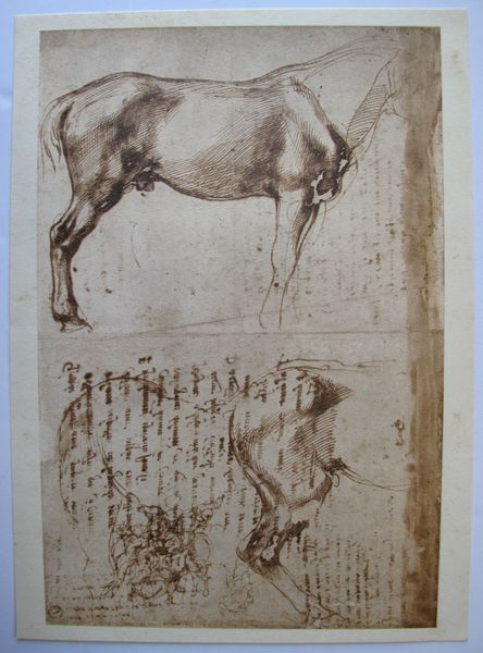 MICHELANGELO 1970 Lithograph "STUDIES OF HORSES"