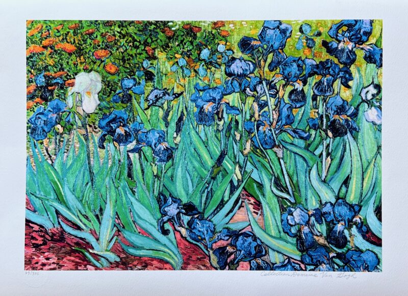 Vincent Van Gogh IRISES Estate Signed Limited Edition Giclee 17" x 24"